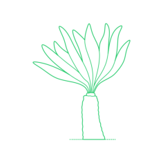 Plants Cycads Dukou Cycad Stencil Svg Design File, Free Vectors File